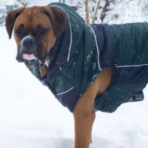 Zeus