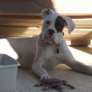 Neutron 7 Months old