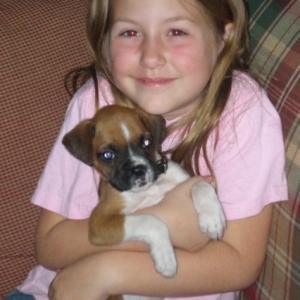 Our new puppy