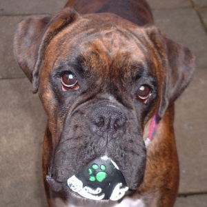 Like my ball?