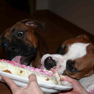 This is good! When is my B.day?