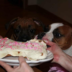 Bday_3