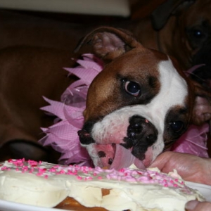 Cleo_s_Bday2