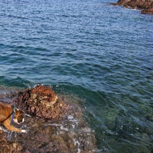 Getting his toes wet
