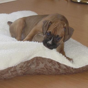 Mangus_First_Day_Home_012
