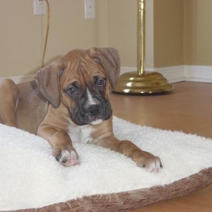 Mangus_First_Day_Home_014