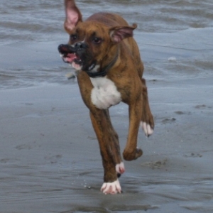 First day at the beach
