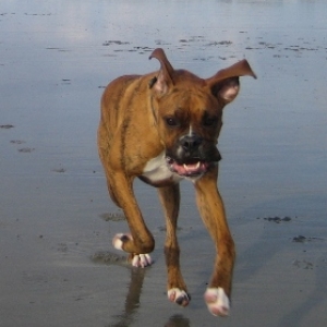 First day at the beach