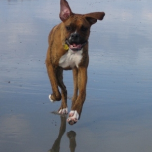 First day at the beach