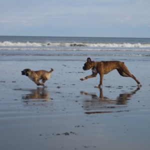 First day at the beach