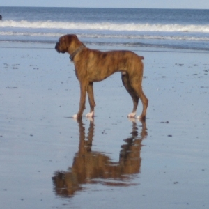 First day at the beach