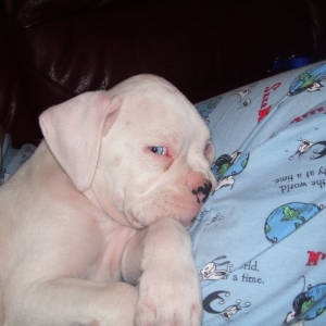 sleeping