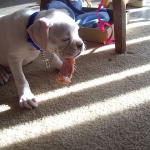 first meal at home