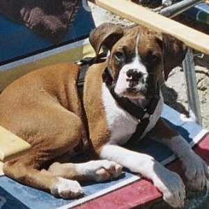 Lounging at the Beach