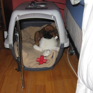 Hank getting ready for Bed