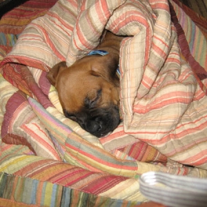 Sleep time!