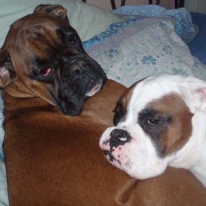 Ruby and Luka