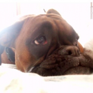 Ruby