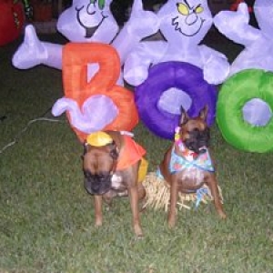 Halloween 2006