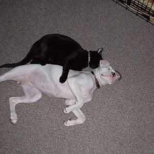 Daisy and Rocky