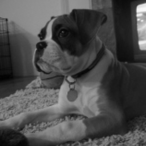Deuce 12 weeks
