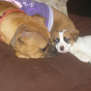 Jada and Delilah