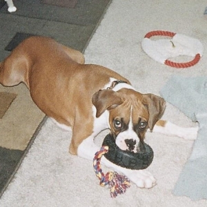 Playing