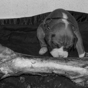 hungry boy
