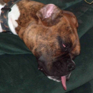 Very tired Keyla
