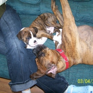 playing3