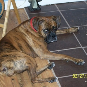 lucy4