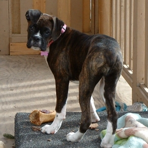 Jorja 15 wks