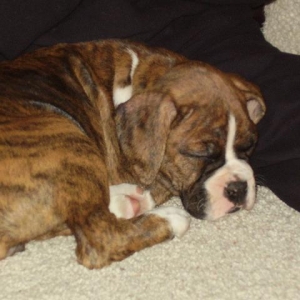First day home