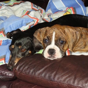 Nikki and Duster