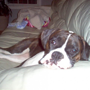 Bella doing what she does best