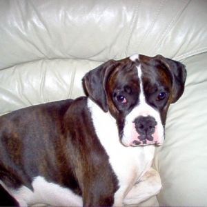 Bella 8 1/2 months old
