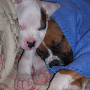 Nap Time