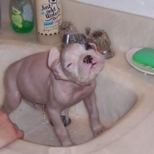 Bath Time