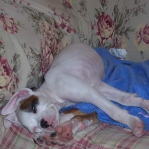 So Tired!