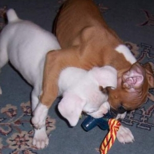 Give it to ME!