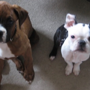 The Children