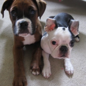 We want treats