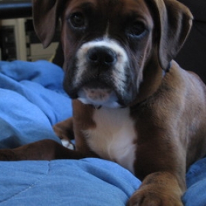 I'm so handsome