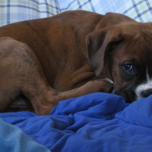 So sleepy...