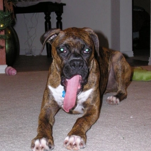 See how long my tongue is!!