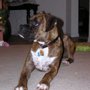 Where's my Christmas present Mom?