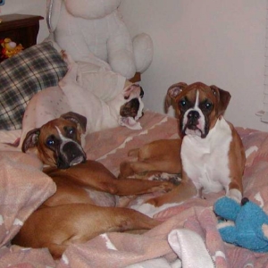 Yes...we are TRYING to sleep