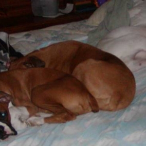 Sleeping agian
