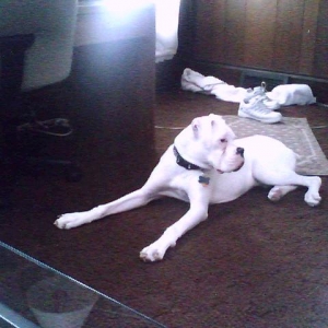 Just laying around