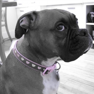 My beautiful Adrian :-)